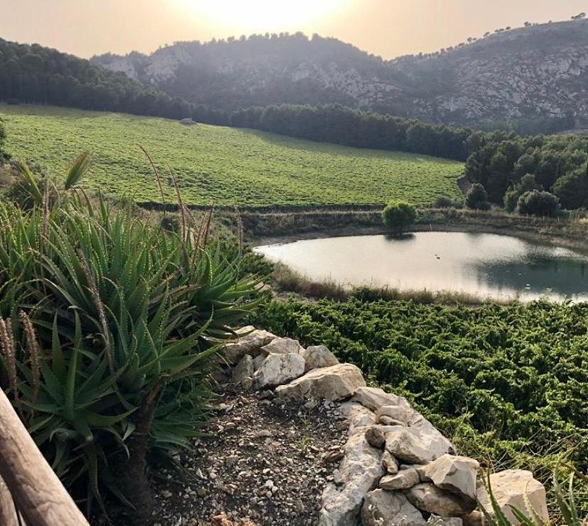 Agriturismo Tenute Pispisa Segesta Calatafimi Εξωτερικό φωτογραφία