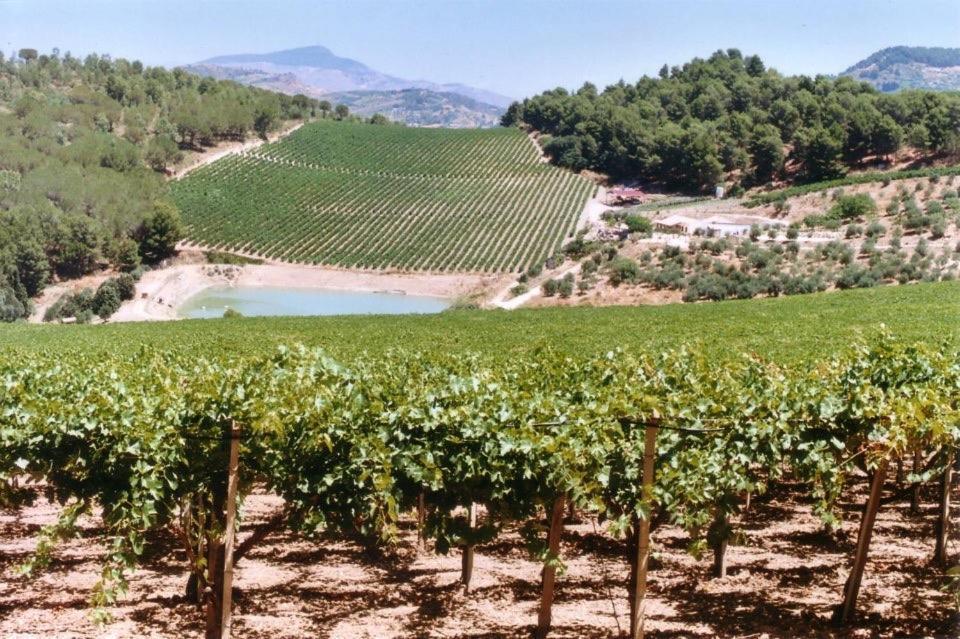 Agriturismo Tenute Pispisa Segesta Calatafimi Εξωτερικό φωτογραφία