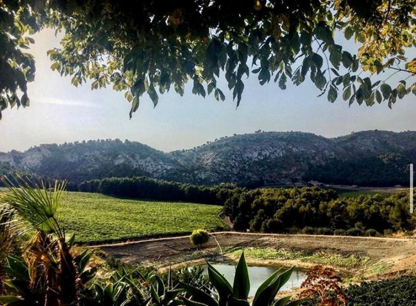 Agriturismo Tenute Pispisa Segesta Calatafimi Εξωτερικό φωτογραφία
