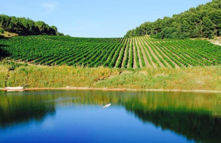 Agriturismo Tenute Pispisa Segesta Calatafimi Εξωτερικό φωτογραφία