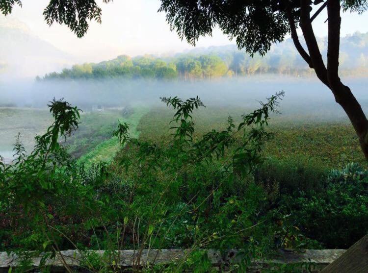 Agriturismo Tenute Pispisa Segesta Calatafimi Εξωτερικό φωτογραφία