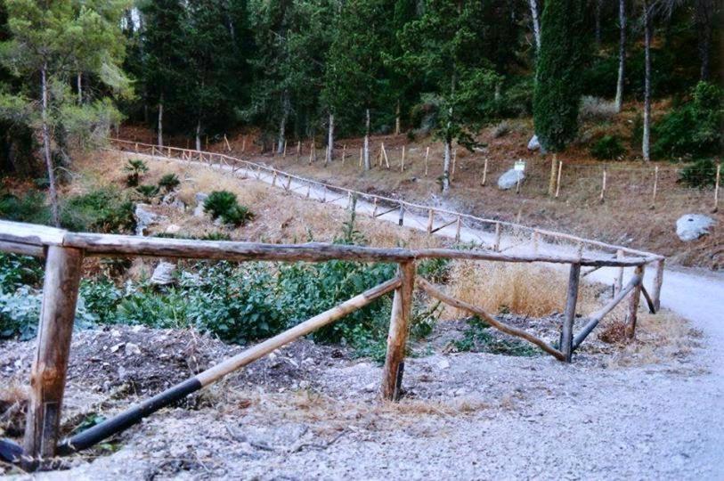 Agriturismo Tenute Pispisa Segesta Calatafimi Εξωτερικό φωτογραφία