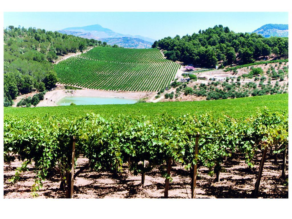 Agriturismo Tenute Pispisa Segesta Calatafimi Εξωτερικό φωτογραφία