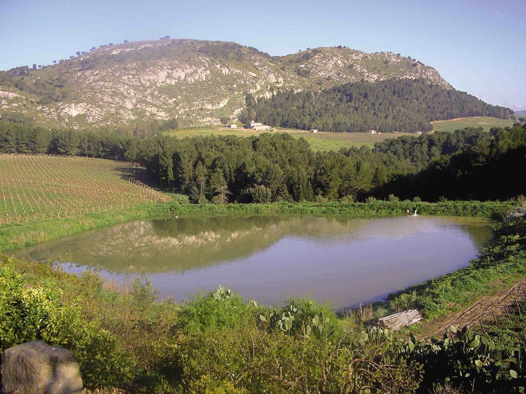 Agriturismo Tenute Pispisa Segesta Calatafimi Εξωτερικό φωτογραφία