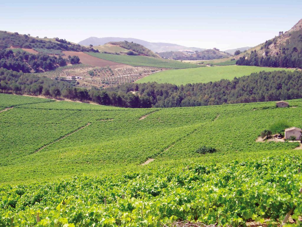 Agriturismo Tenute Pispisa Segesta Calatafimi Εξωτερικό φωτογραφία