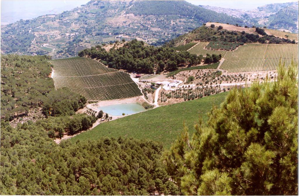 Agriturismo Tenute Pispisa Segesta Calatafimi Εξωτερικό φωτογραφία