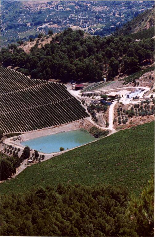 Agriturismo Tenute Pispisa Segesta Calatafimi Εξωτερικό φωτογραφία