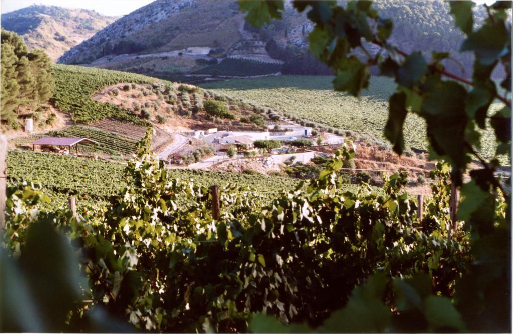 Agriturismo Tenute Pispisa Segesta Calatafimi Εξωτερικό φωτογραφία