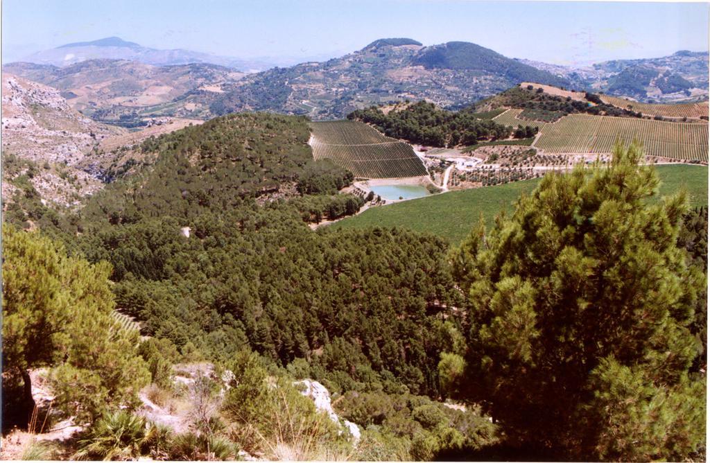 Agriturismo Tenute Pispisa Segesta Calatafimi Εξωτερικό φωτογραφία