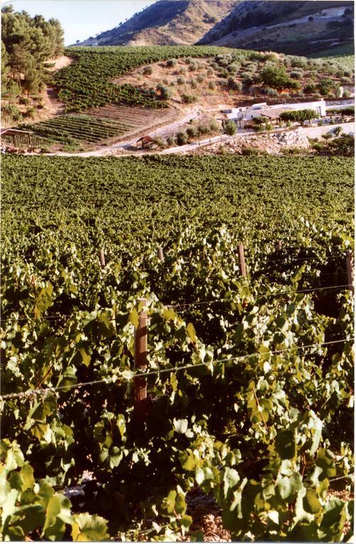 Agriturismo Tenute Pispisa Segesta Calatafimi Εξωτερικό φωτογραφία