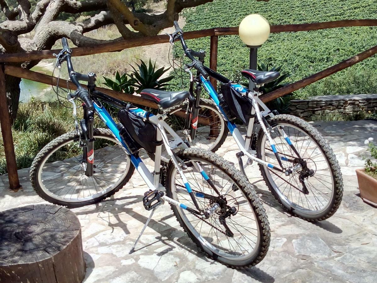Agriturismo Tenute Pispisa Segesta Calatafimi Εξωτερικό φωτογραφία